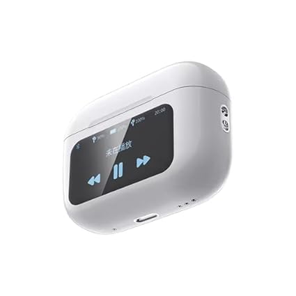 Wisme WT5 display smart Earbuds