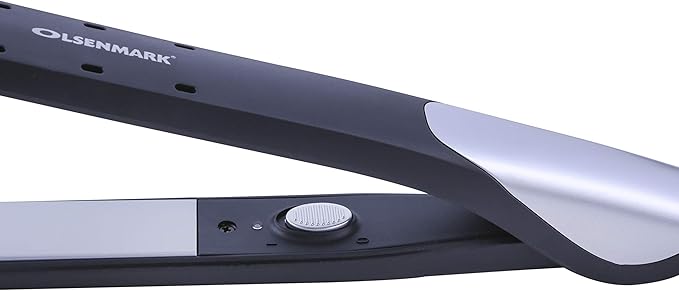 2-in-1 Professional Hair Styler Kit